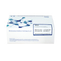 High Sensitivity Rapid Test Cassette for Early Pregnancy kit